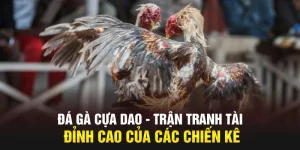 đá gà cựa dao